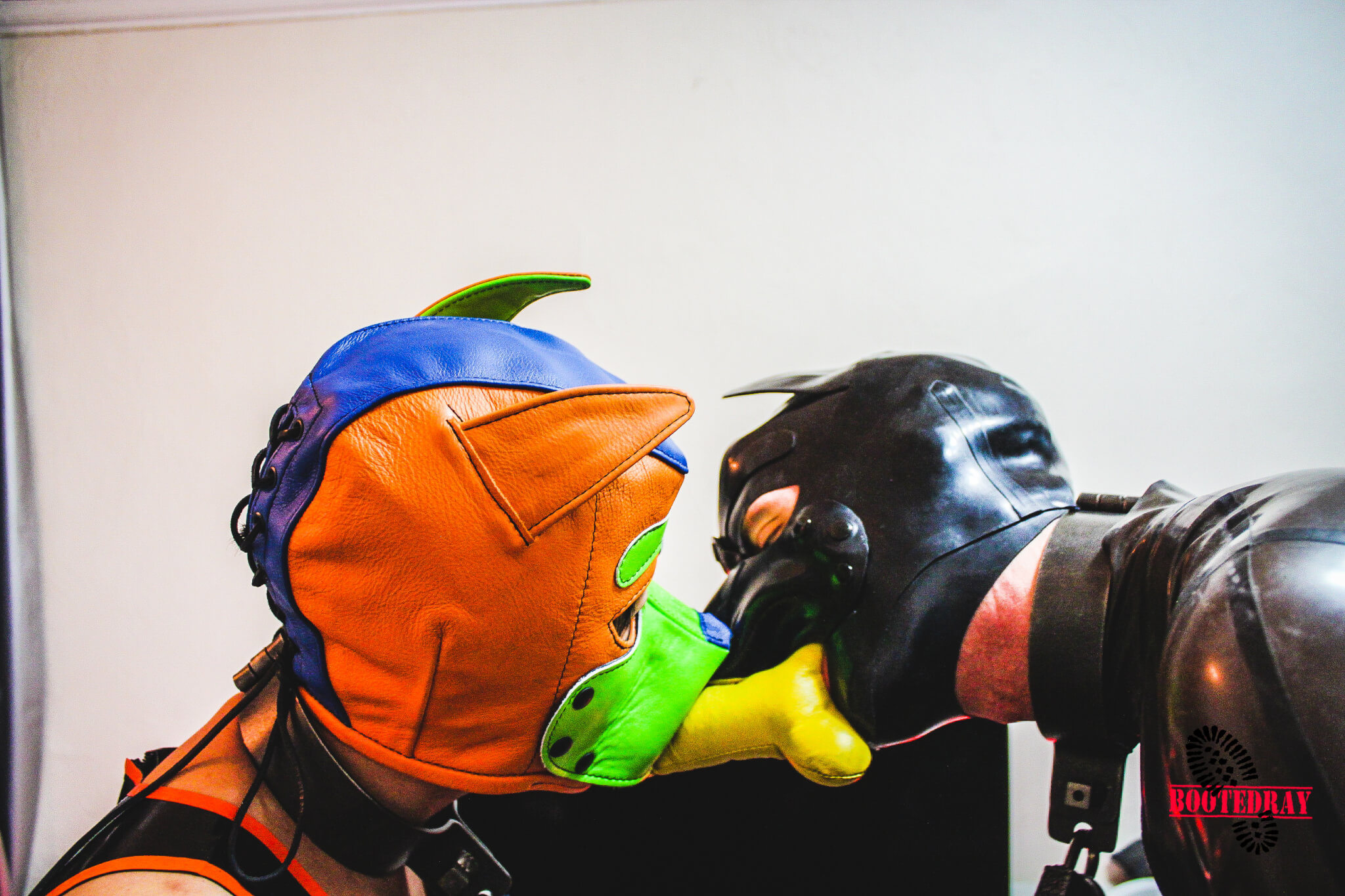 Two Rubber Puppies Playing Around BootedRAY